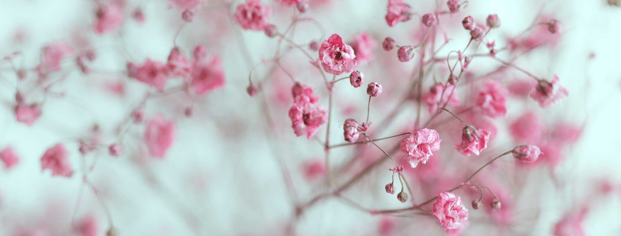 Featured image for “„Ich habe einen Schnatz gefunden“”